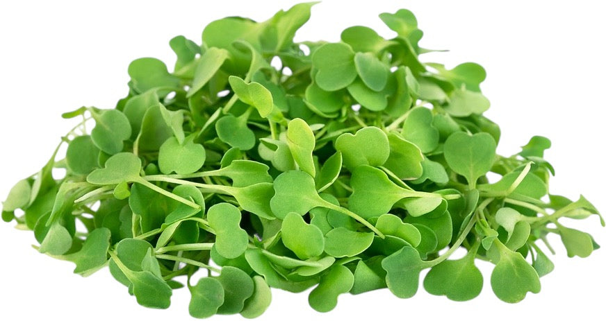 Micro Arugula